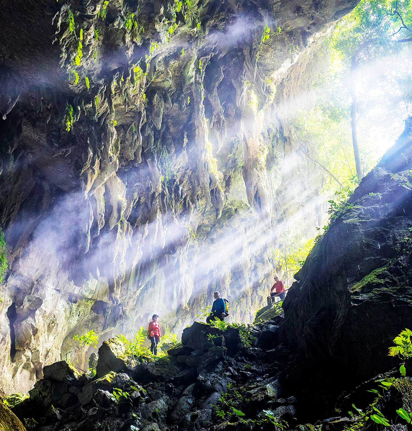 Best small group tours to Borneo