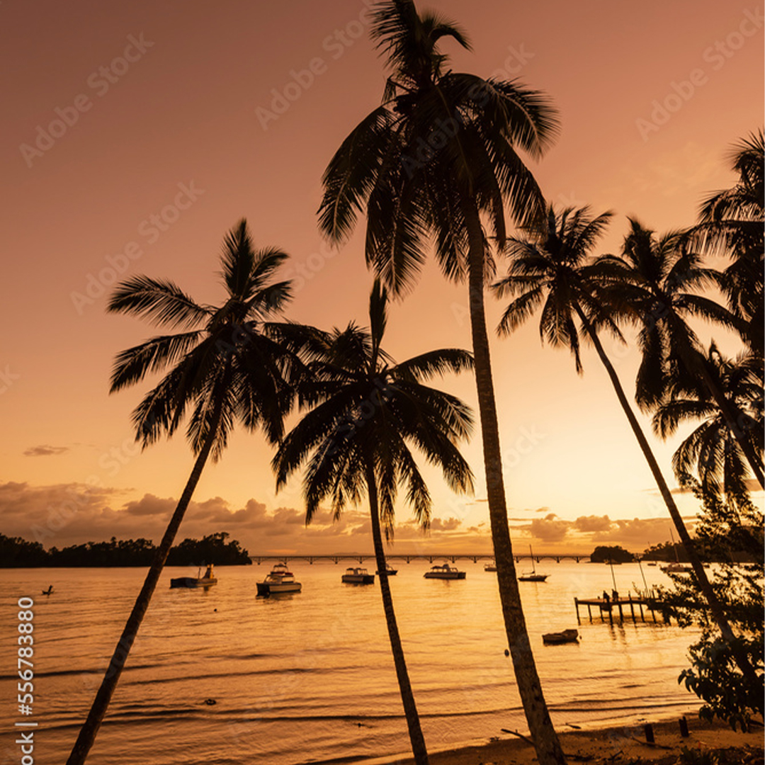 Best small group tours to the Dominican Republic 2027