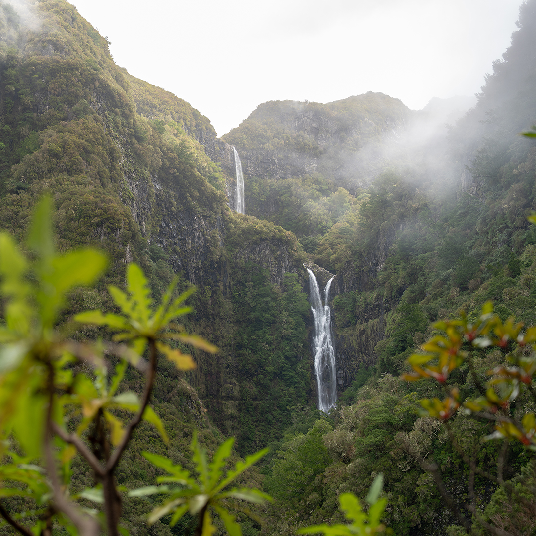 Best small group tours to Madeira 2027